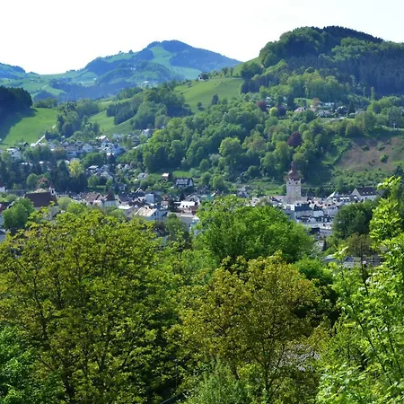 Appartement Kohlnberger Waidhofen an der Ybbs Exterior foto