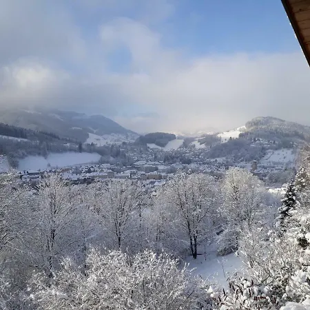 Appartement Kohlnberger Waidhofen an der Ybbs Exterior foto