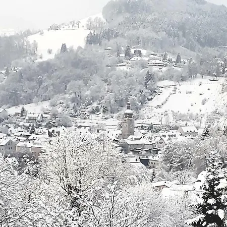 Appartement Kohlnberger Waidhofen an der Ybbs Exterior foto